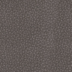 61003/46/58/62 : 61003S2