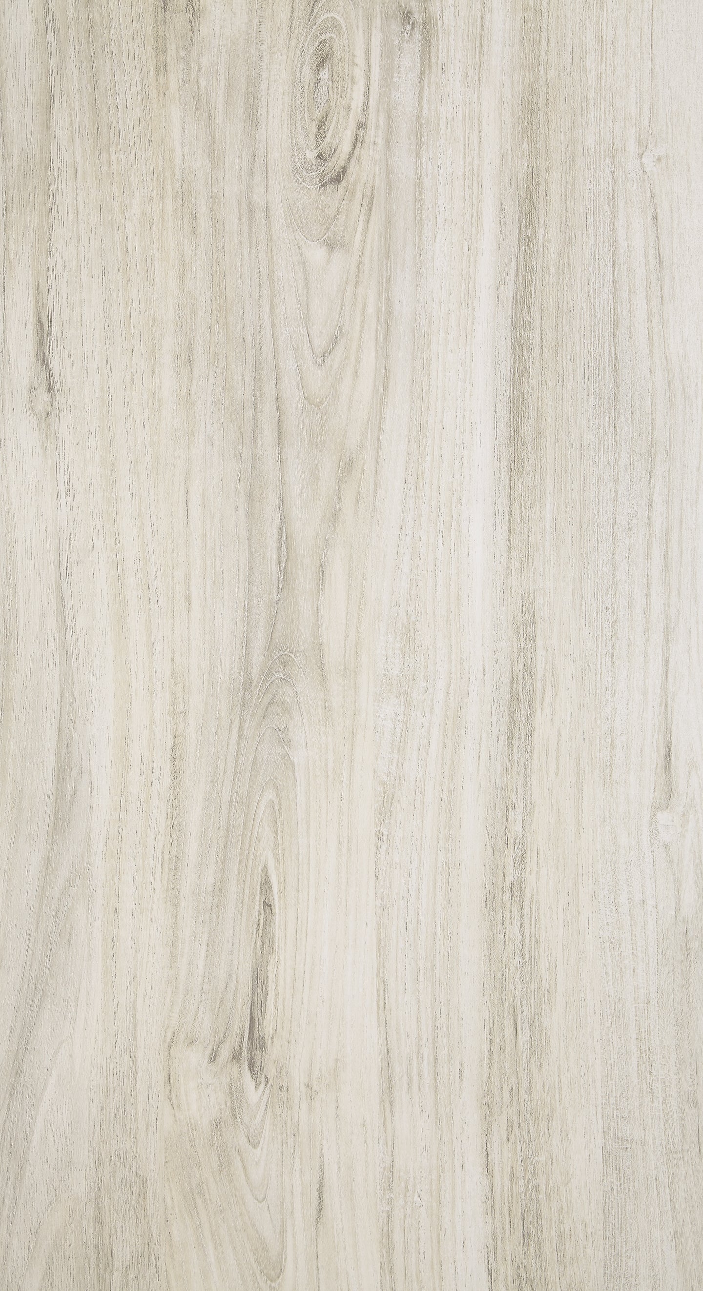 B331/B4/B1 : PKG004719