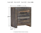 Drystan King Panel Bed with 4 Storage Drawers with Mirrored Dresser, Chest and Nightstand
